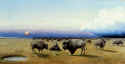 buffalo6600.jpg (18231 bytes)
