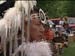 Pow Wow 135